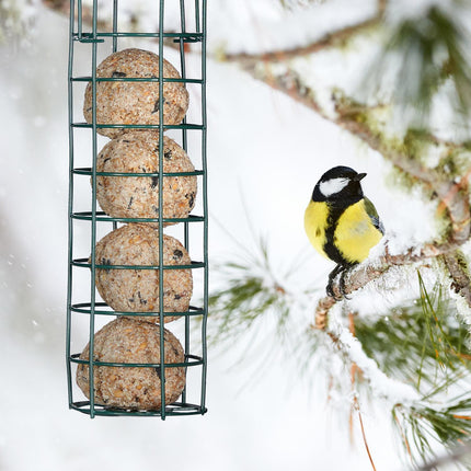 Hanging Bird Feeder Set of 2