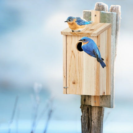 Hängender Nistkasten aus Holz