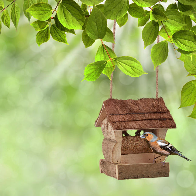 Hanging bird feeder
