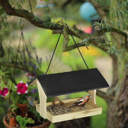 Hanging bird feeder