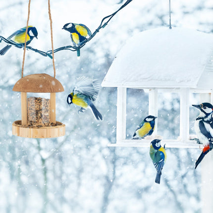 Hanging bird feeder