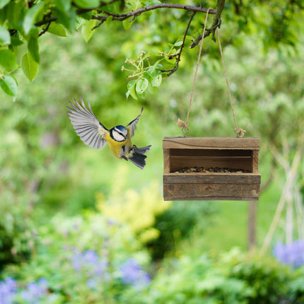 Hanging bird feeder