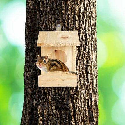 Hanging feeder for squirrels