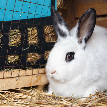 Sac à foin pour petits animaux