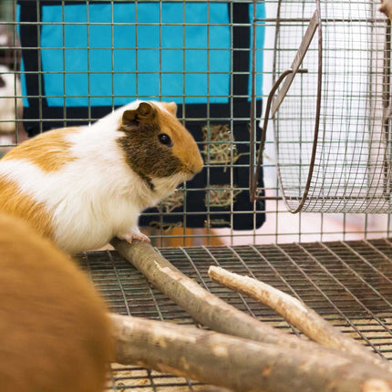 Sac à foin pour petits animaux