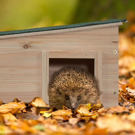Hedgehog House for Garden – Fir Wood, 2 Chambers