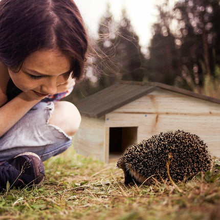 Hedgehog House with Sloping Roof, Pine Wood