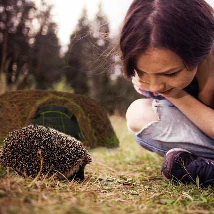 Hedgehog house Igloo