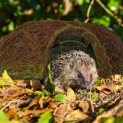 Hedgehog house Igloo