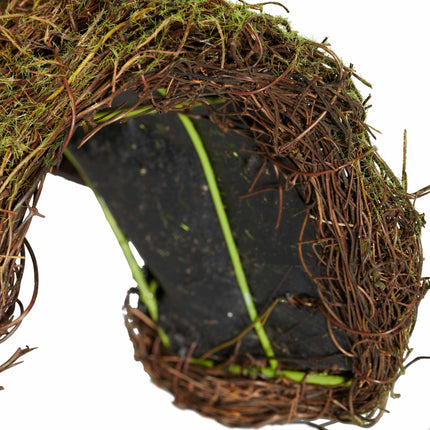 Hedgehog house Igloo