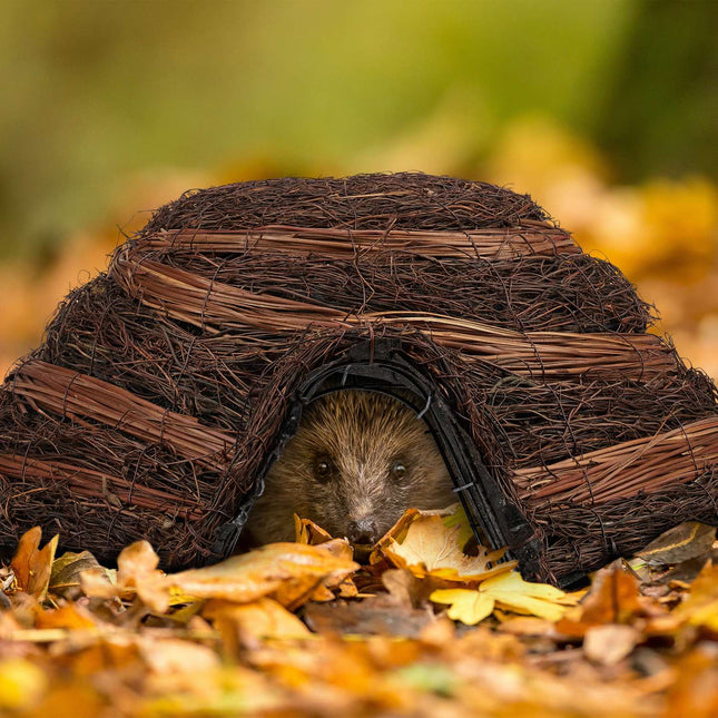 Hedgehog house made of straw