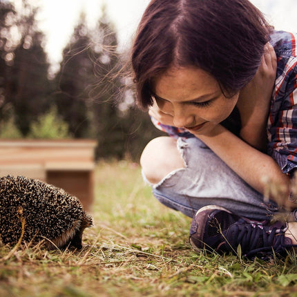 Hedgehog house with floor