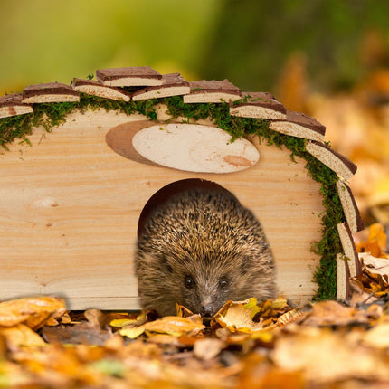 Hedgehog house with floor