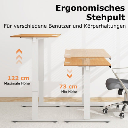 Height Adjustable Desk 120 x 60 cm Electric Standing Desk Rustic Natural + White