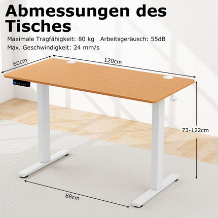 Height Adjustable Desk 120 x 60 cm Electric Standing Desk Rustic Natural + White