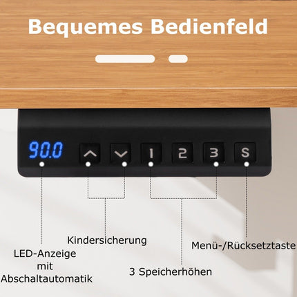 Height Adjustable Desk 120 x 60 cm Electric Standing Desk Rustic Natural + White