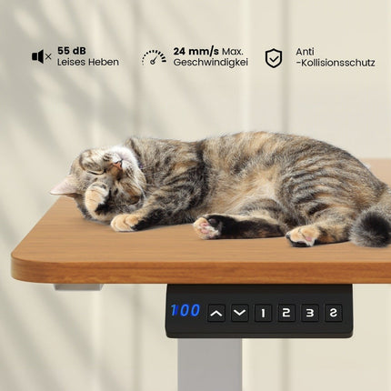 Height-adjustable desk 140 x 60 cm electric standing desk natural