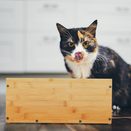 Höhenverstellbarer Futterplatz für Katzen