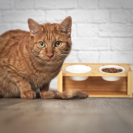 Höhenverstellbarer Futterplatz für Katzen