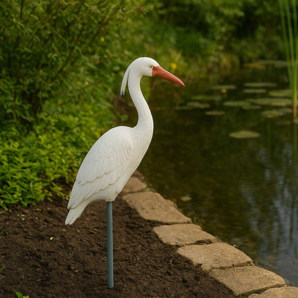 Heron Decoy for Pond Protection – White, Durable Plastic