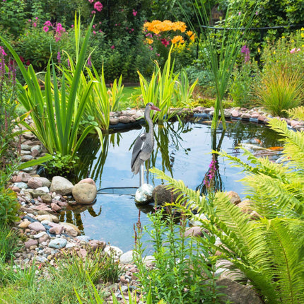 Reiher Gartenfigur 2er Set