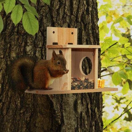 House for feeding squirrels