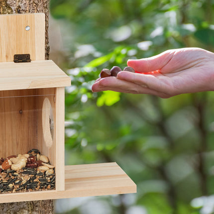 House for feeding squirrels