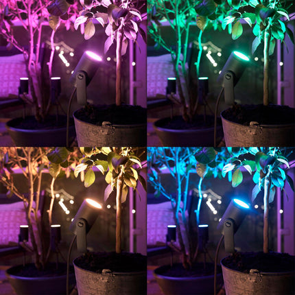 Hue Lily Weiß/Farbe Ext. 24V