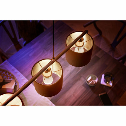 Hue White E14 P45 Globe 2er-Pack