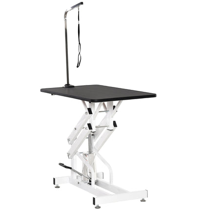 Table de parage hydraulique, table de tonte avec potence, toilettage pour chiens