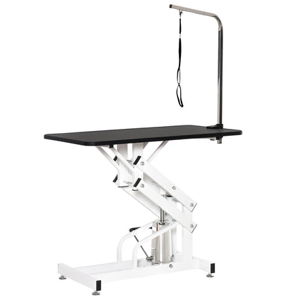 Table de parage hydraulique, table de tonte avec potence, toilettage pour chiens