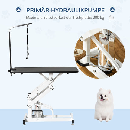Table de parage hydraulique, table de tonte avec potence, toilettage pour chiens