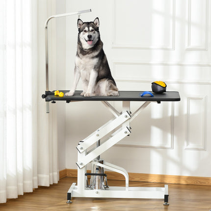 Table de parage hydraulique, table de tonte avec potence, toilettage pour chiens