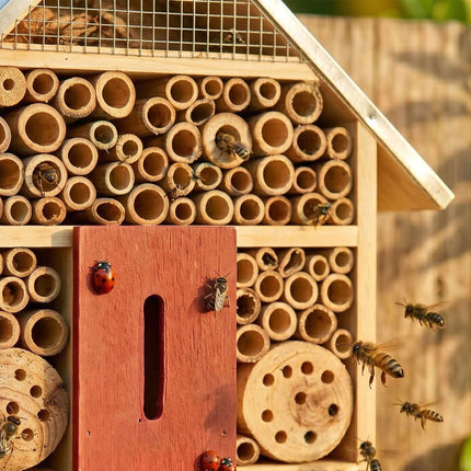 Insect Hotel With Metal Roof, Weatherproof Bee and Butterfly Shelter