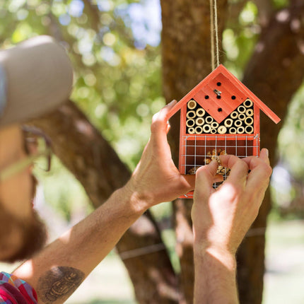 Insect hotel for beneficial insects