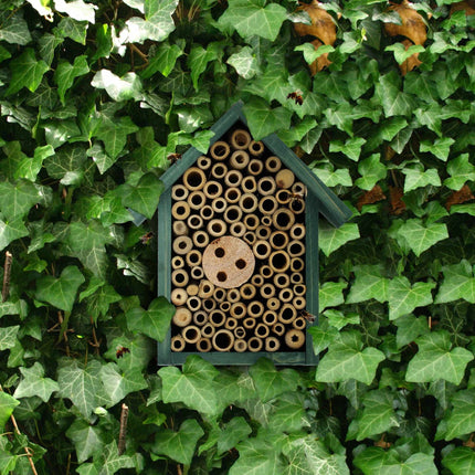 Insect hotel for wild bees in green