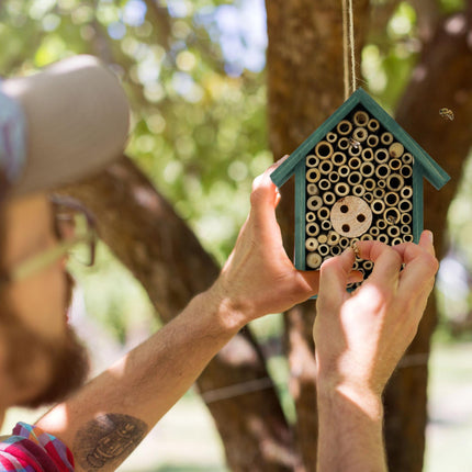 Insect hotel for wild bees in green