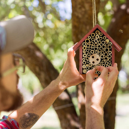 Insect hotel for wild bees in red