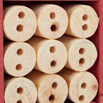 Insect hotel kit
