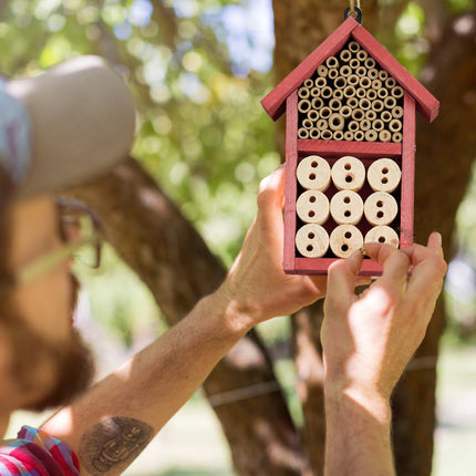 Insect hotel kit