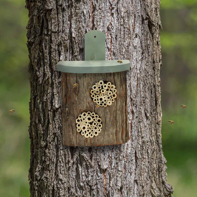 Insect hotel with separate nesting holes