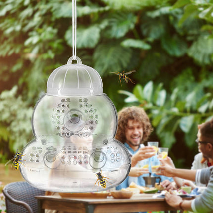 Insect trap transparent set of 2
