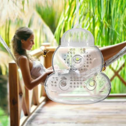 Insect trap transparent set of 2