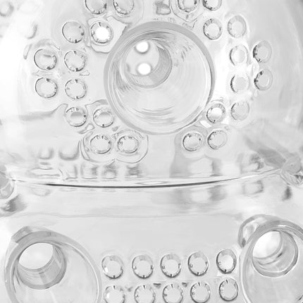 Insect trap transparent set of 2