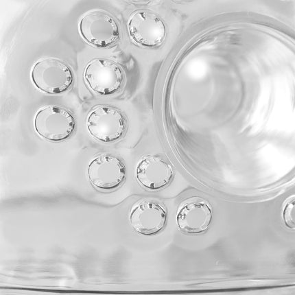 Insect trap transparent set of 2