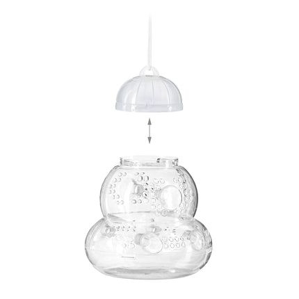 Insect trap transparent set of 2