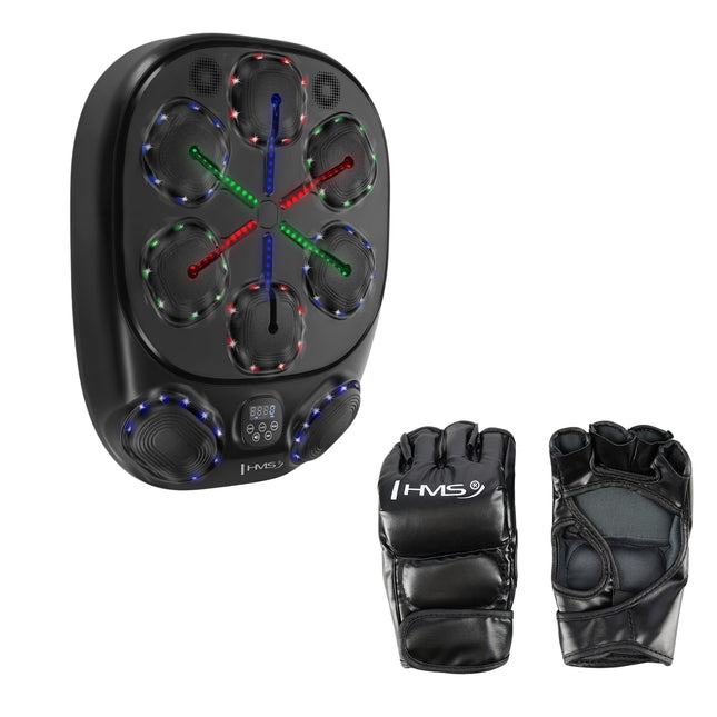 Intelligent Bluetooth Boxing Machine with Gloves, 4000mAh Battery