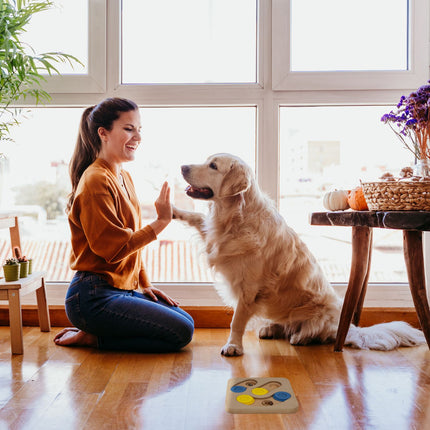 Intelligent toys for dogs