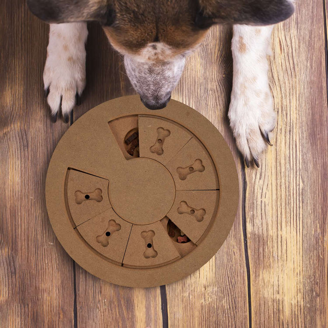 Intelligentes Spielzeug für Hunde