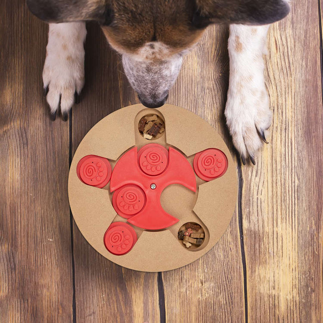 Intelligentes Spielzeug für Hunde